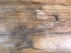 �G�|�L�V Firewire �e�B���o�[�e�b�N 49_3